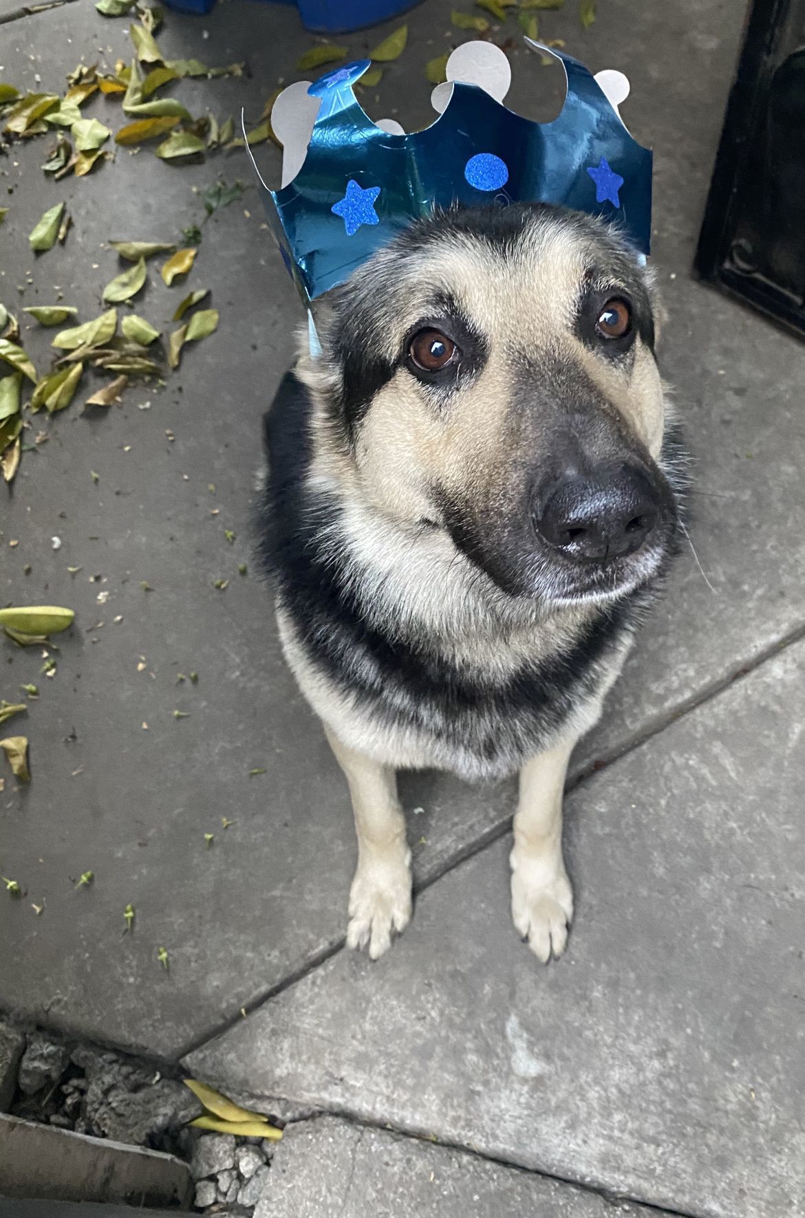 Axel